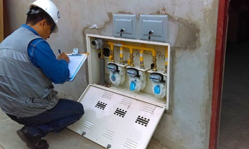 standard_inspector20200727-24078-cdu9wp